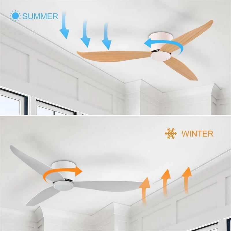 Ventilateur de Plafond