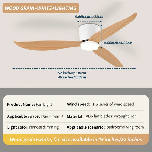 Ventilateur de Plafond