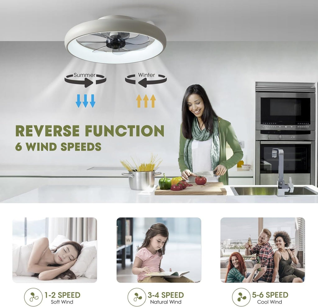 Ventilateur de Plafond Moderne